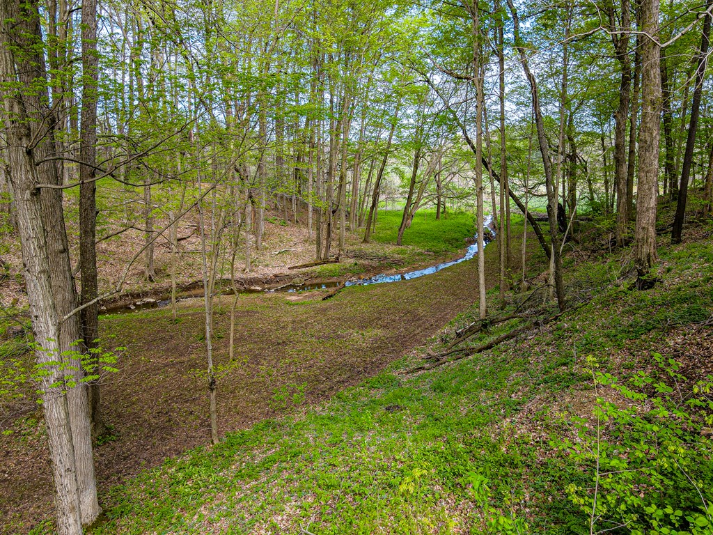 4731 Township Road 96, Mount Gilead, Ohio 43338, 3 Bedrooms Bedrooms, ,2 BathroomsBathrooms,Residential,For Sale,Township Road 96,9066861