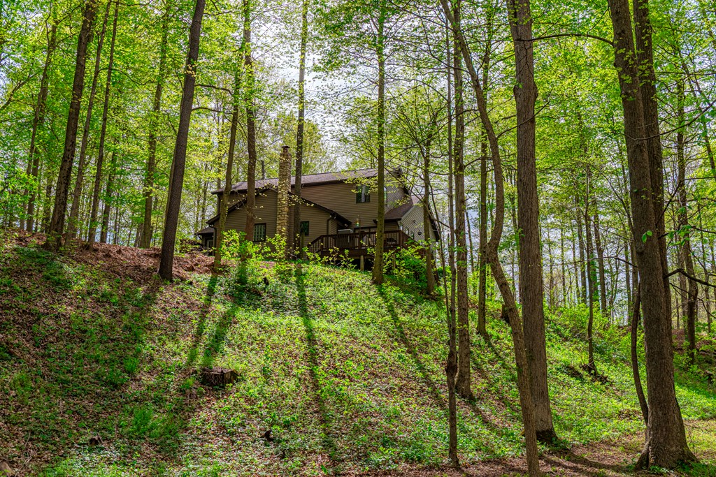 4731 Township Road 96, Mount Gilead, Ohio 43338, 3 Bedrooms Bedrooms, ,2 BathroomsBathrooms,Residential,For Sale,Township Road 96,9066861