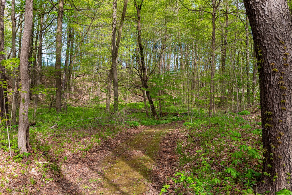 4731 Township Road 96, Mount Gilead, Ohio 43338, 3 Bedrooms Bedrooms, ,2 BathroomsBathrooms,Residential,For Sale,Township Road 96,9066861
