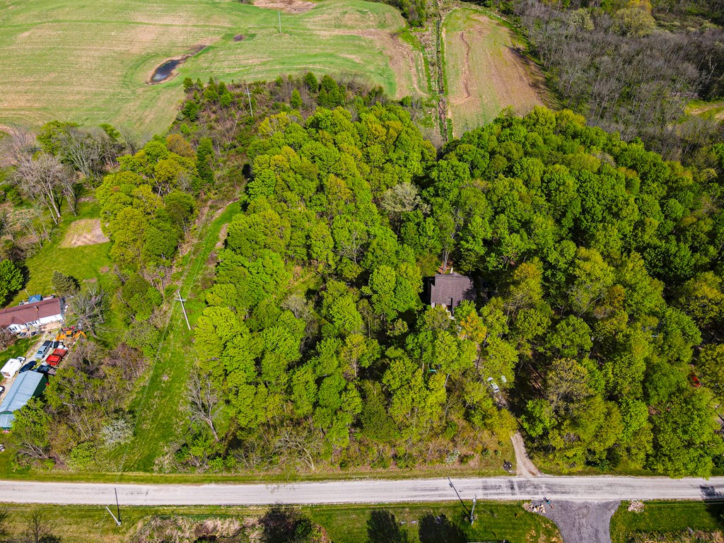 4731 Township Road 96, Mount Gilead, Ohio 43338, 3 Bedrooms Bedrooms, ,2 BathroomsBathrooms,Residential,For Sale,Township Road 96,9066861