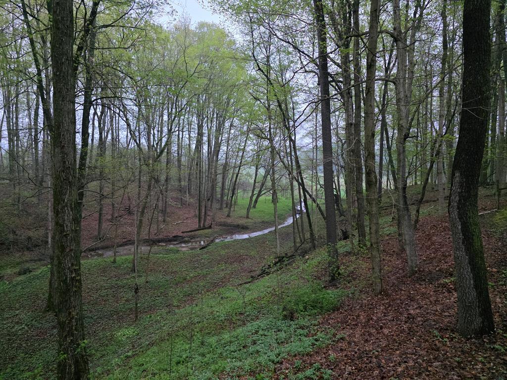 4731 Township Road 96, Mount Gilead, Ohio 43338, 3 Bedrooms Bedrooms, ,2 BathroomsBathrooms,Residential,For Sale,Township Road 96,9066861