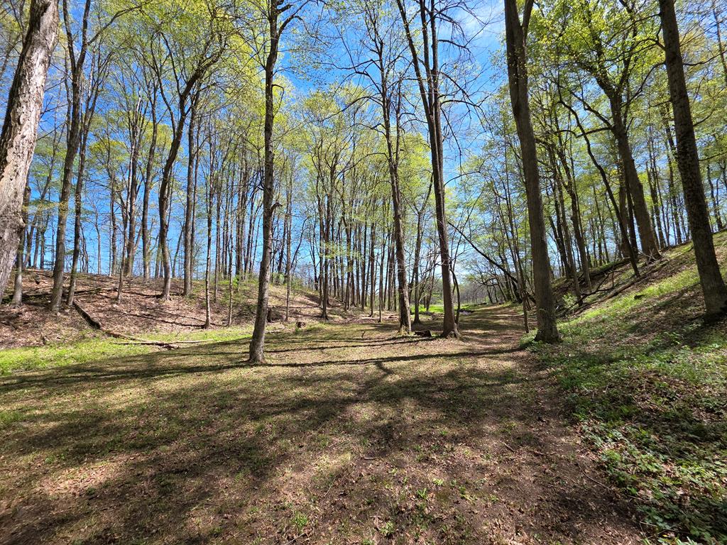 4731 Township Road 96, Mount Gilead, Ohio 43338, 3 Bedrooms Bedrooms, ,2 BathroomsBathrooms,Residential,For Sale,Township Road 96,9066861