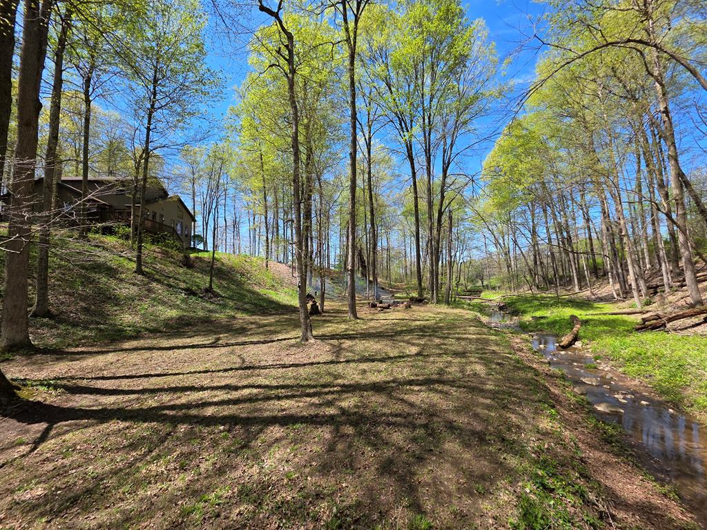 4731 Township Road 96, Mount Gilead, Ohio 43338, 3 Bedrooms Bedrooms, ,2 BathroomsBathrooms,Residential,For Sale,Township Road 96,9066861