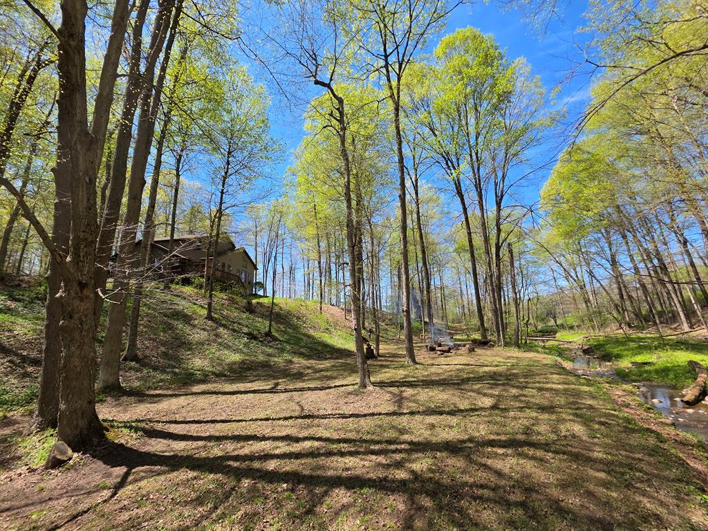 4731 Township Road 96, Mount Gilead, Ohio 43338, 3 Bedrooms Bedrooms, ,2 BathroomsBathrooms,Residential,For Sale,Township Road 96,9066861