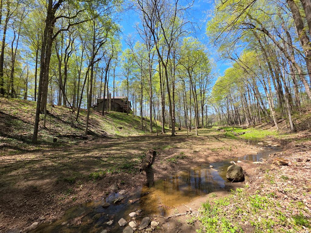 4731 Township Road 96, Mount Gilead, Ohio 43338, 3 Bedrooms Bedrooms, ,2 BathroomsBathrooms,Residential,For Sale,Township Road 96,9066861