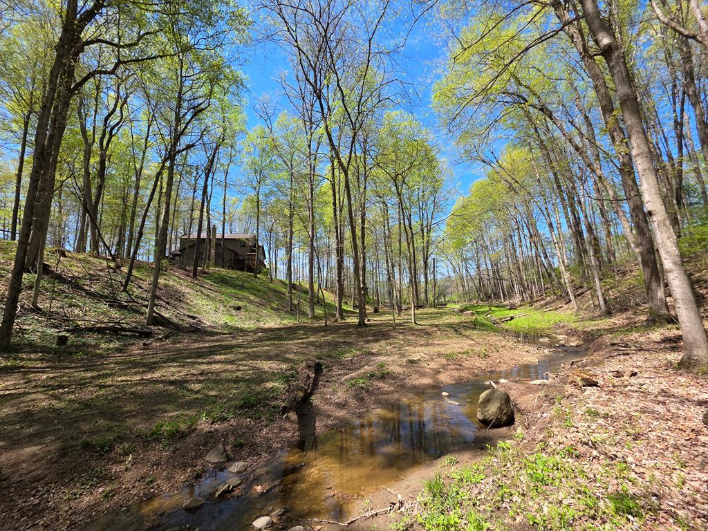 4731 Township Road 96, Mount Gilead, Ohio 43338, 3 Bedrooms Bedrooms, ,2 BathroomsBathrooms,Residential,For Sale,Township Road 96,9066861