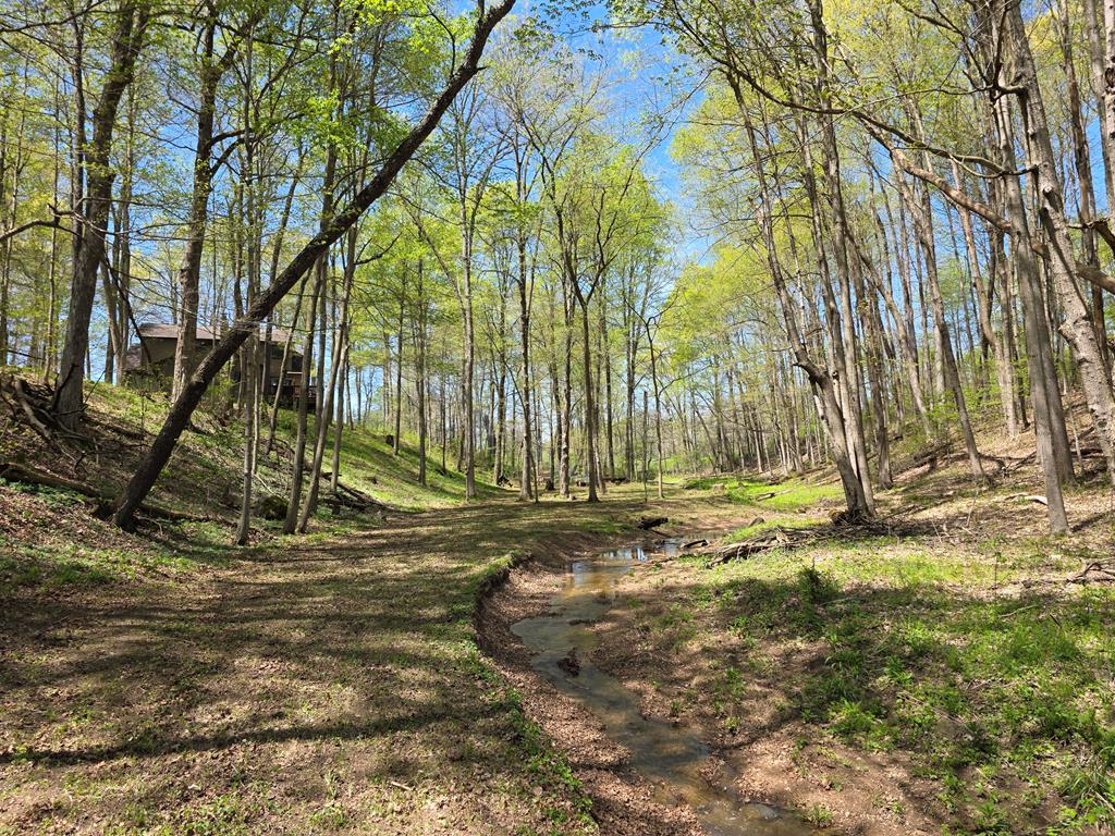 4731 Township Road 96, Mount Gilead, Ohio 43338, 3 Bedrooms Bedrooms, ,2 BathroomsBathrooms,Residential,For Sale,Township Road 96,9066861