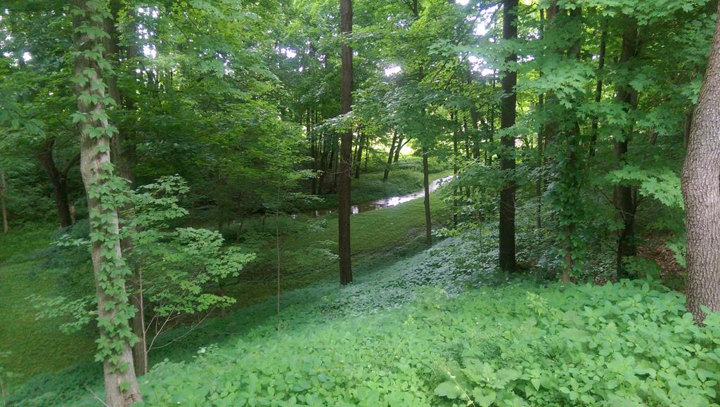 4731 Township Road 96, Mount Gilead, Ohio 43338, 3 Bedrooms Bedrooms, ,2 BathroomsBathrooms,Residential,For Sale,Township Road 96,9066861
