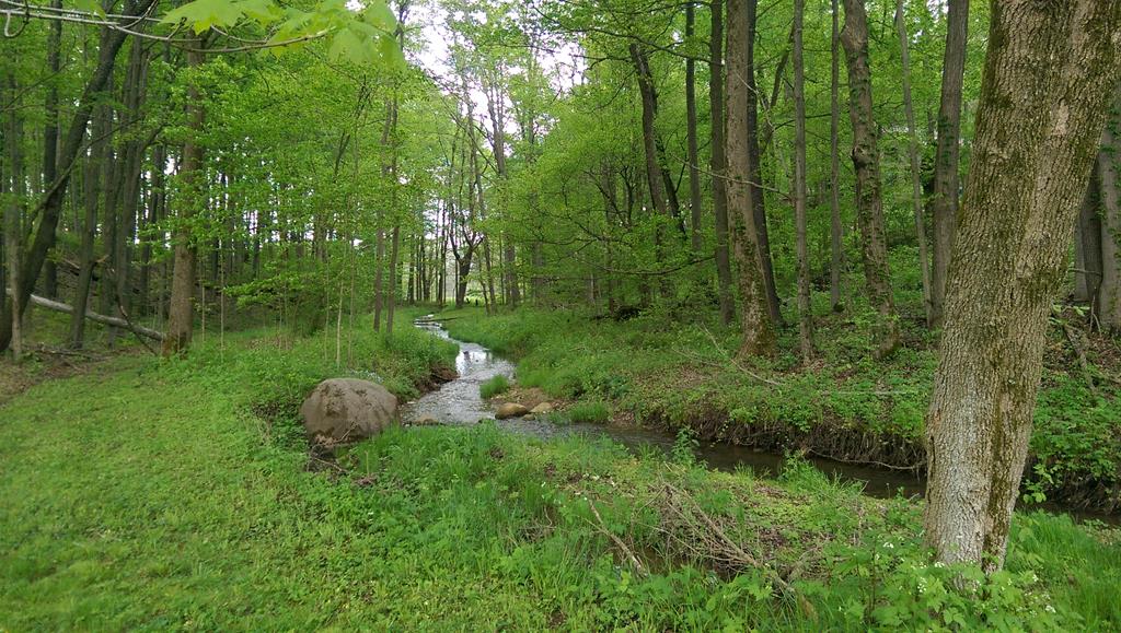 4731 Township Road 96, Mount Gilead, Ohio 43338, 3 Bedrooms Bedrooms, ,2 BathroomsBathrooms,Residential,For Sale,Township Road 96,9066861