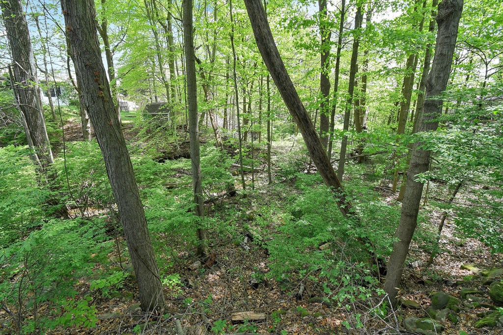 695 Hollywood Lane, Mansfield, Ohio 44907, 3 Bedrooms Bedrooms, ,2 BathroomsBathrooms,Residential,For Sale,Hollywood Lane,9066927