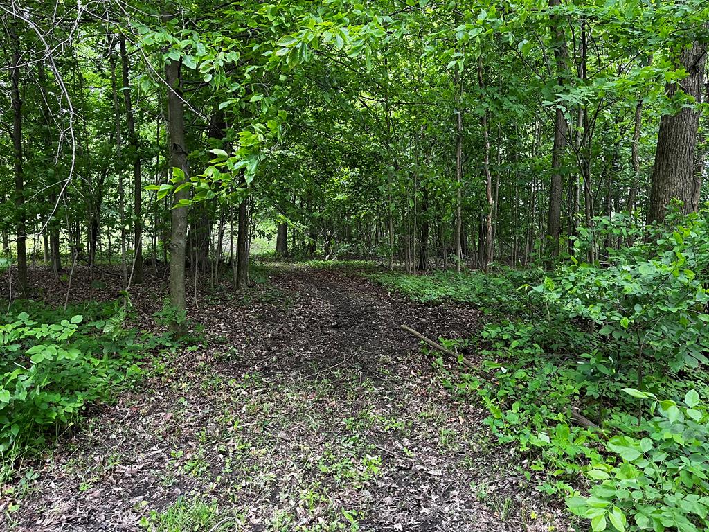 5616 Windfall, Galion, Ohio 44833, 3 Bedrooms Bedrooms, ,2 BathroomsBathrooms,Residential,For Sale,Windfall,9066944