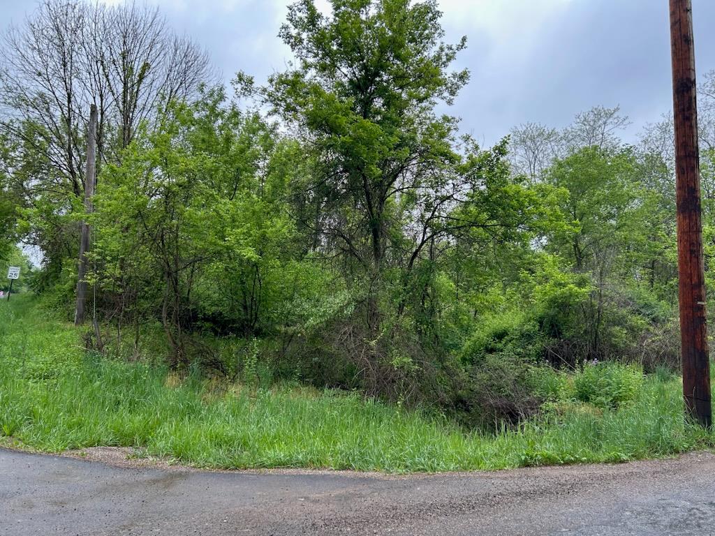 0 Herring Avenue, Mansfield, Ohio 44906, ,Land,For Sale,Herring Avenue,9066961