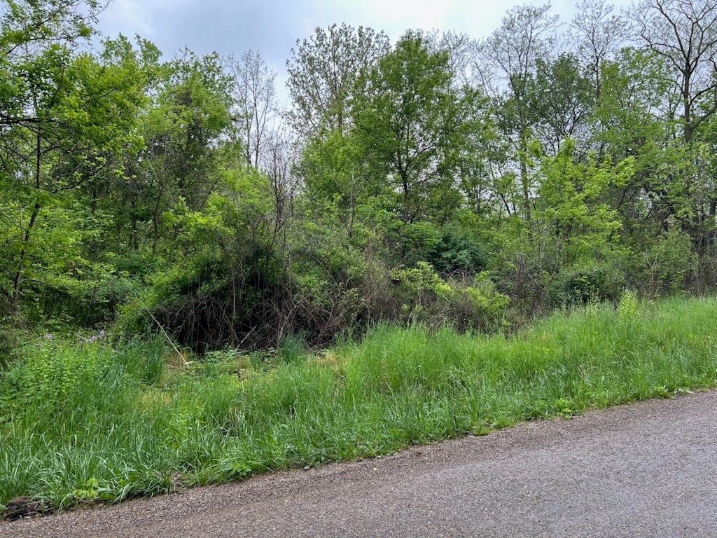 0 Herring Avenue, Mansfield, Ohio 44906, ,Land,For Sale,Herring Avenue,9066961