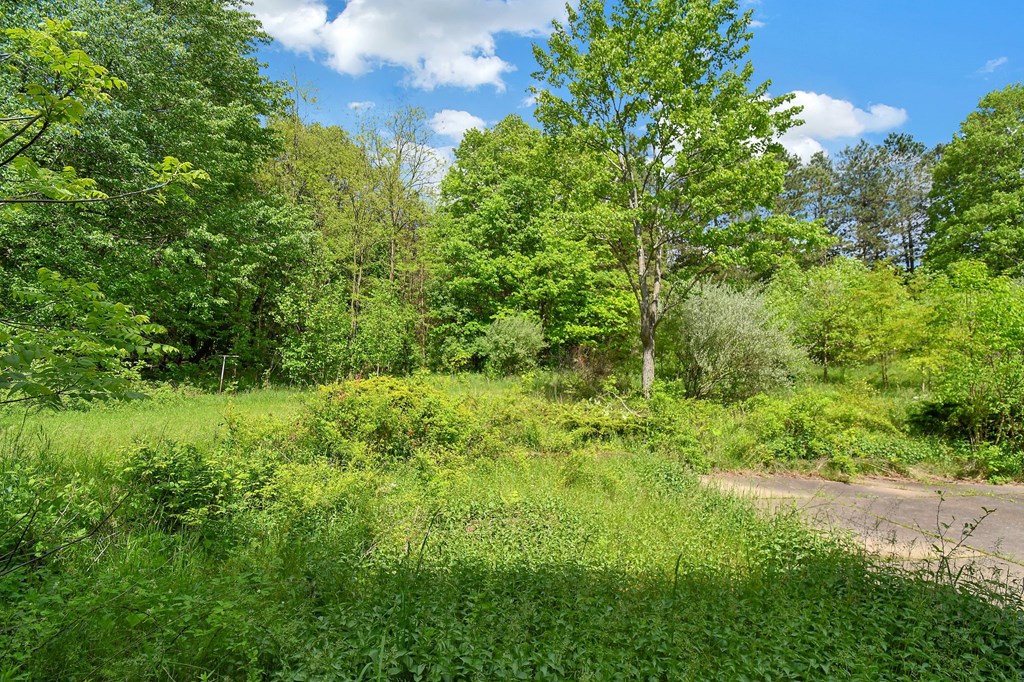1485 Willow Park Dr., Mansfield, Ohio 44903, 4 Bedrooms Bedrooms, ,2 BathroomsBathrooms,Residential,For Sale,Willow Park Dr.,9067046