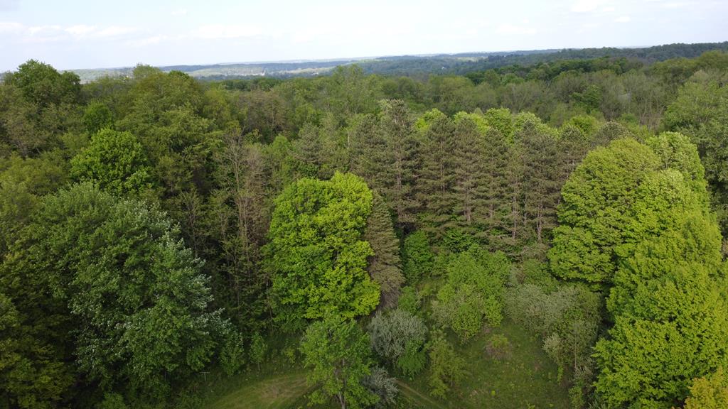 1485 Willow Park Dr., Mansfield, Ohio 44903, 4 Bedrooms Bedrooms, ,2 BathroomsBathrooms,Residential,For Sale,Willow Park Dr.,9067046