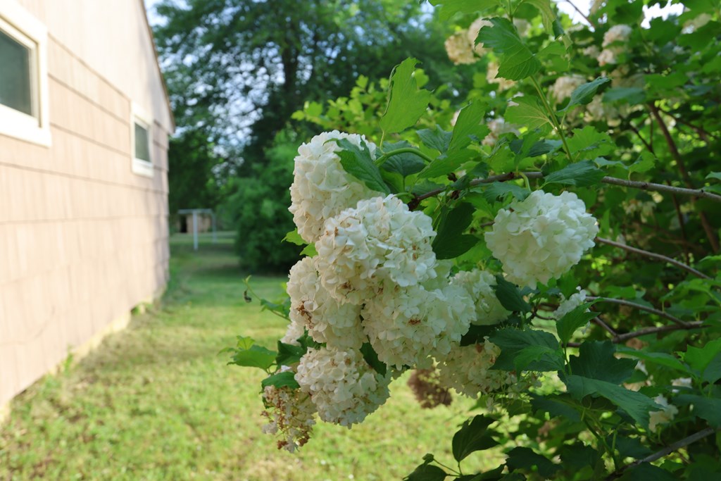 5641 State Route 19, Galion, Ohio 44833, 3 Bedrooms Bedrooms, ,1 BathroomBathrooms,Residential,For Sale,State Route 19,9067050