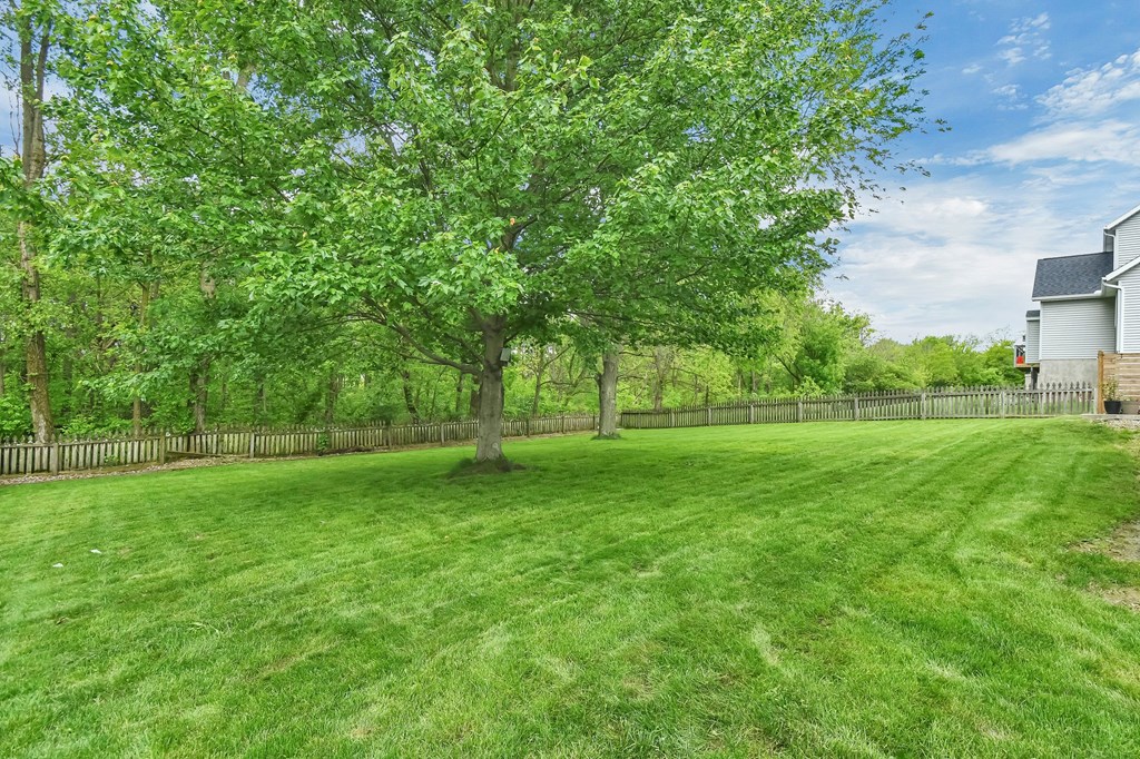 567 Heidi Lane, Mansfield, Ohio 44904, 4 Bedrooms Bedrooms, ,2 BathroomsBathrooms,Residential,For Sale,Heidi Lane,9067103