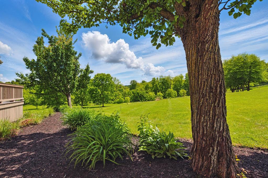 3545 Willow Hill Road, Lexington, Ohio 44904, 4 Bedrooms Bedrooms, ,2 BathroomsBathrooms,Residential,For Sale,Willow Hill Road,9067109