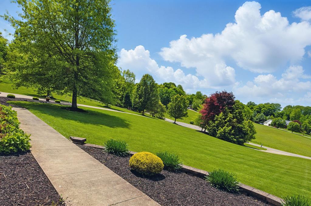 3545 Willow Hill Road, Lexington, Ohio 44904, 4 Bedrooms Bedrooms, ,2 BathroomsBathrooms,Residential,For Sale,Willow Hill Road,9067109
