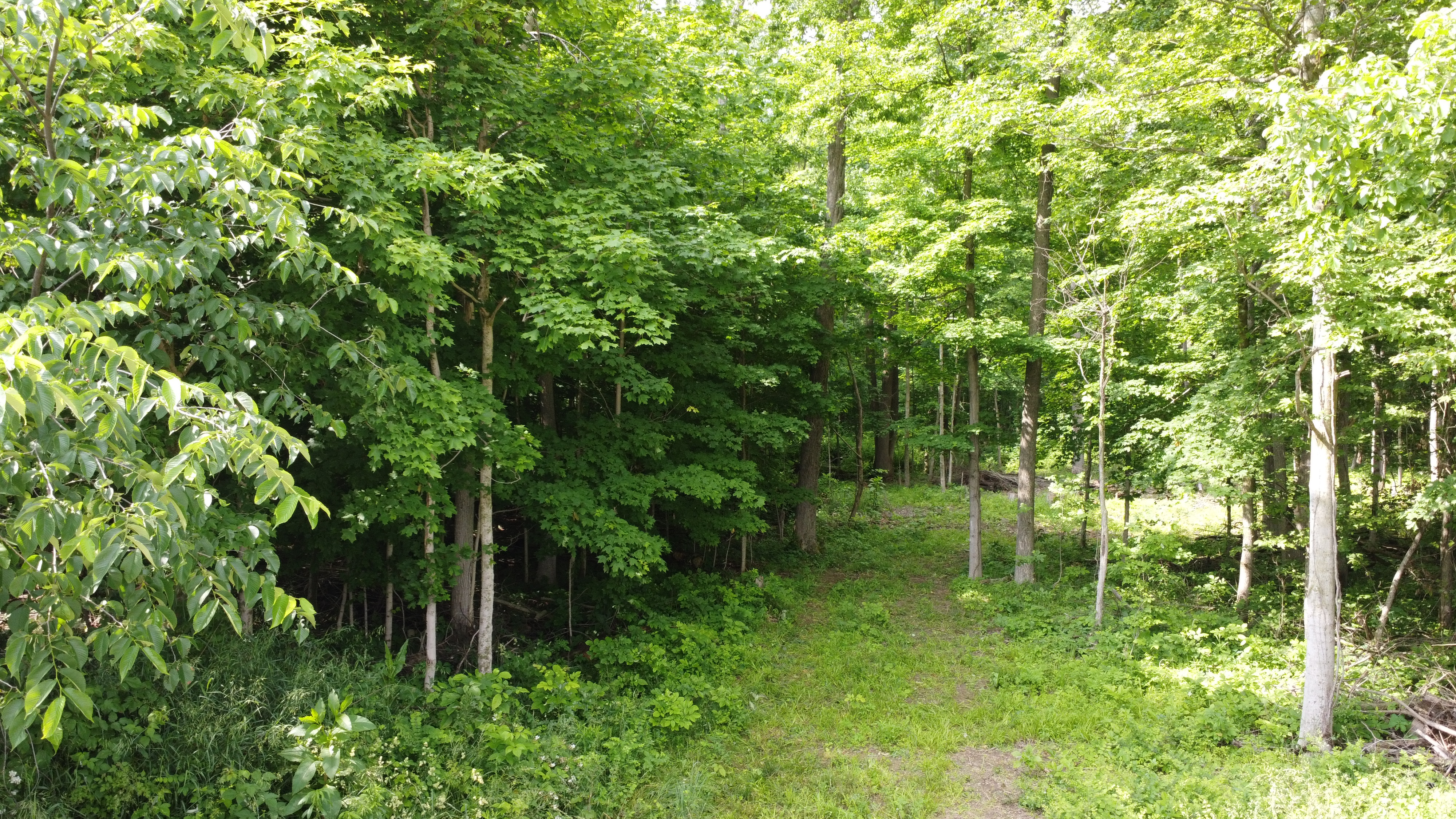 0 State Route 511 N, Ashland, Ohio 44805, ,Land,For Sale,State Route 511 N,9067146