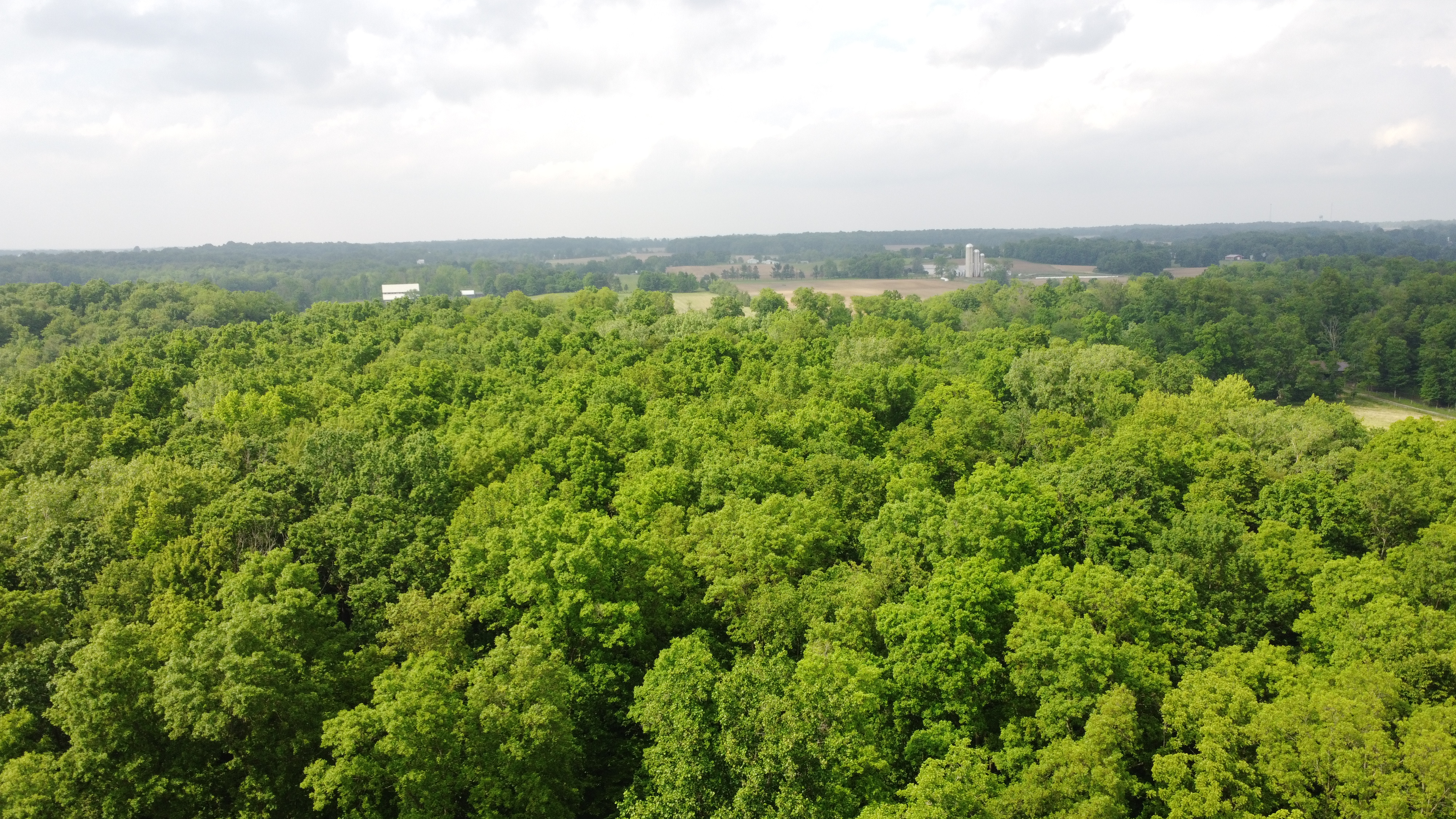 0 State Route 511 N, Ashland, Ohio 44805, ,Land,For Sale,State Route 511 N,9067146