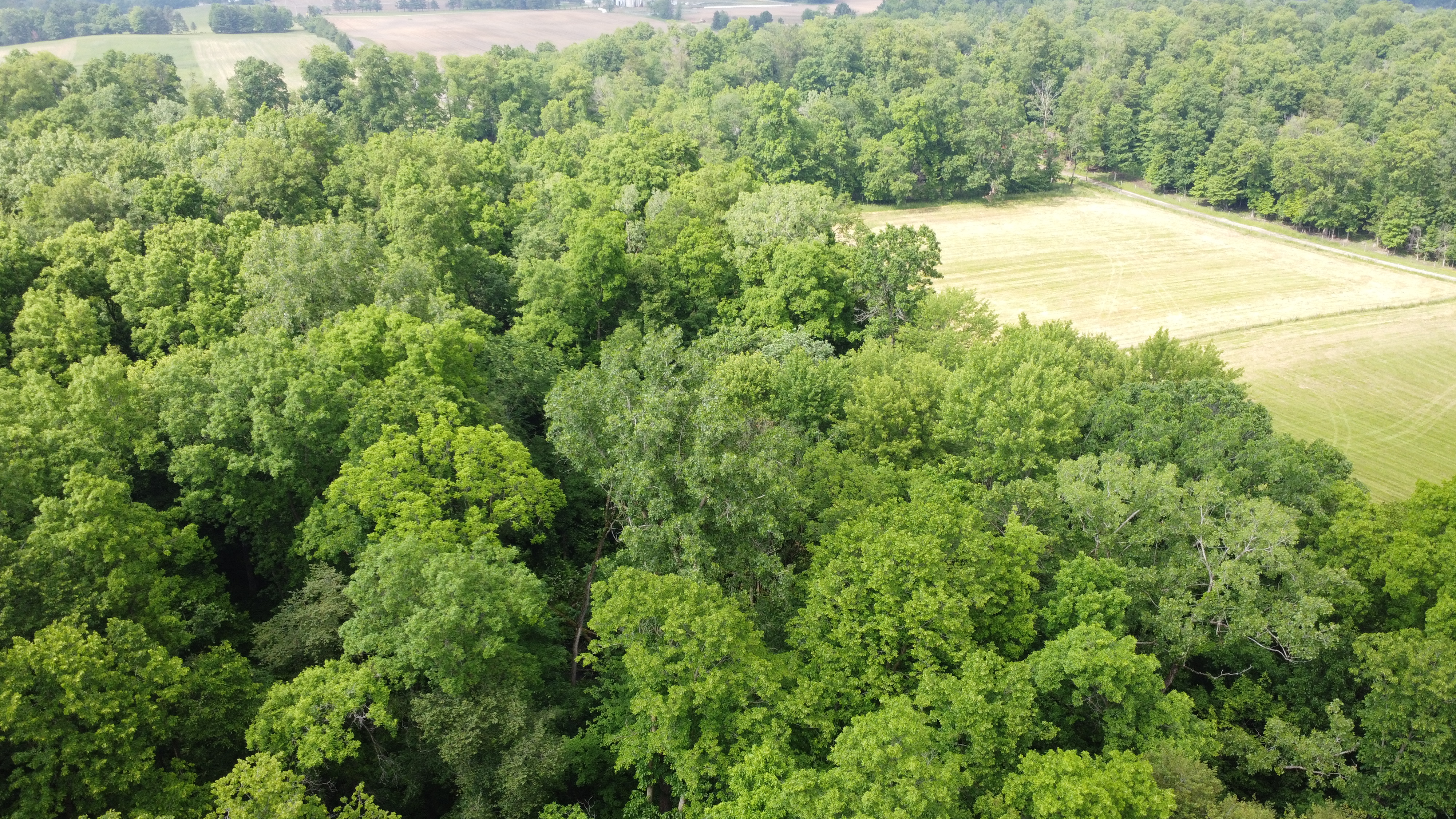 0 State Route 511 N, Ashland, Ohio 44805, ,Land,For Sale,State Route 511 N,9067146