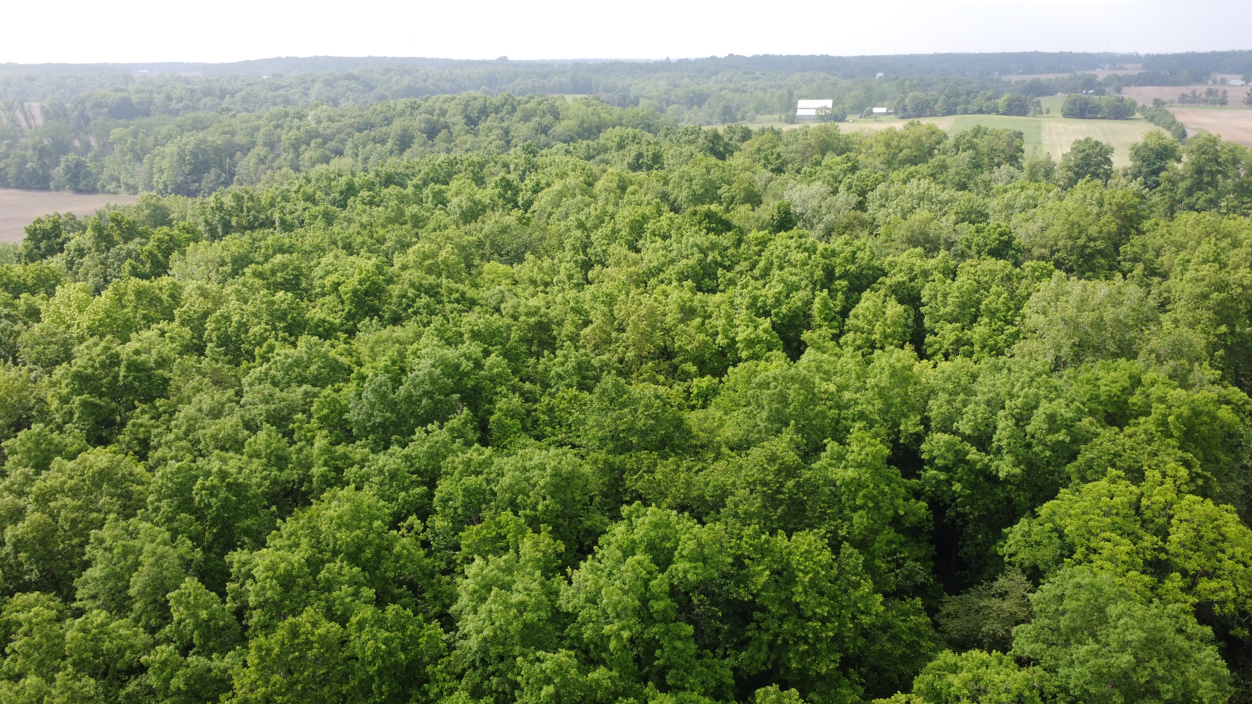 0 State Route 511 N, Ashland, Ohio 44805, ,Land,For Sale,State Route 511 N,9067146