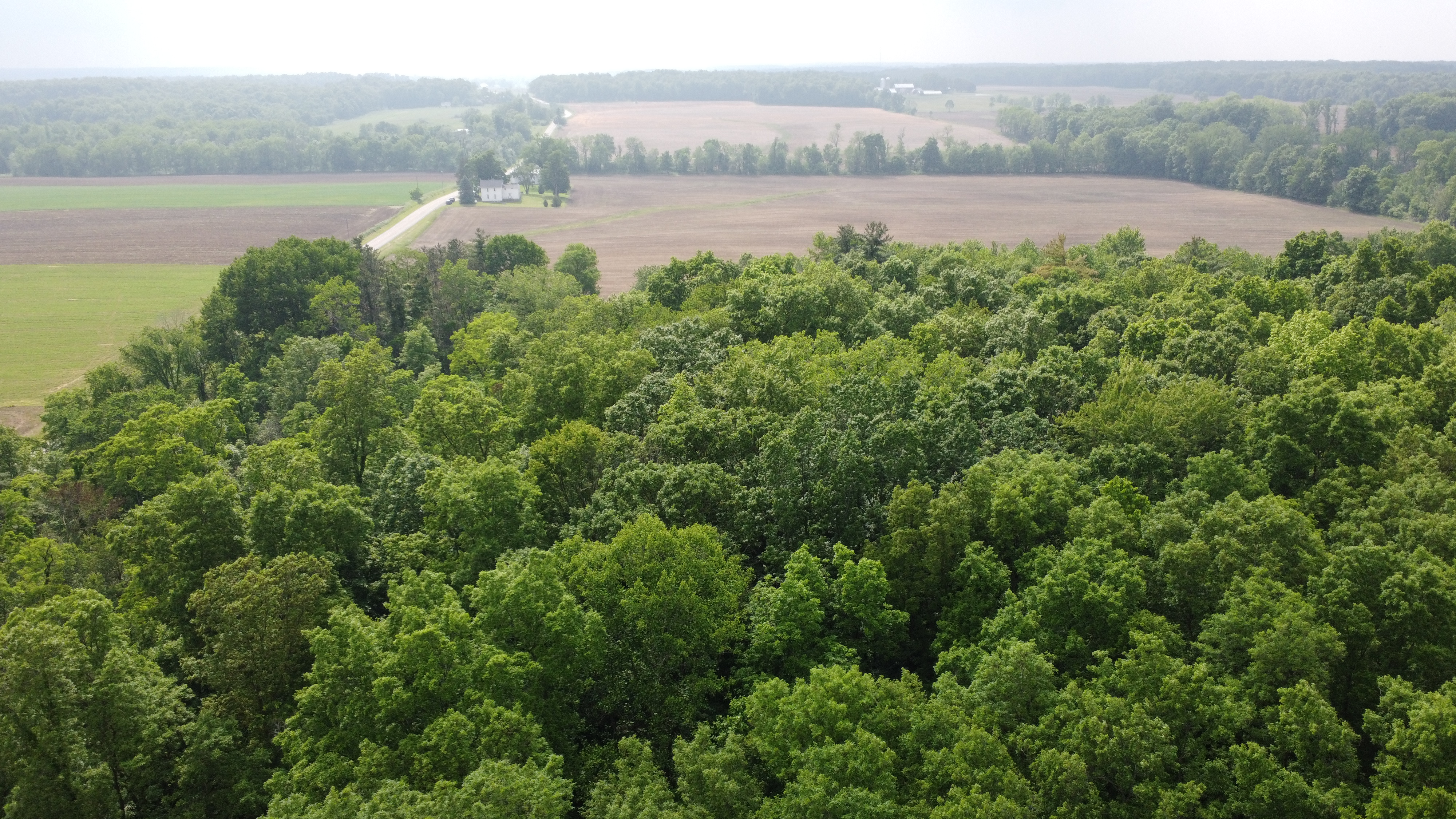 0 State Route 511 N, Ashland, Ohio 44805, ,Land,For Sale,State Route 511 N,9067146