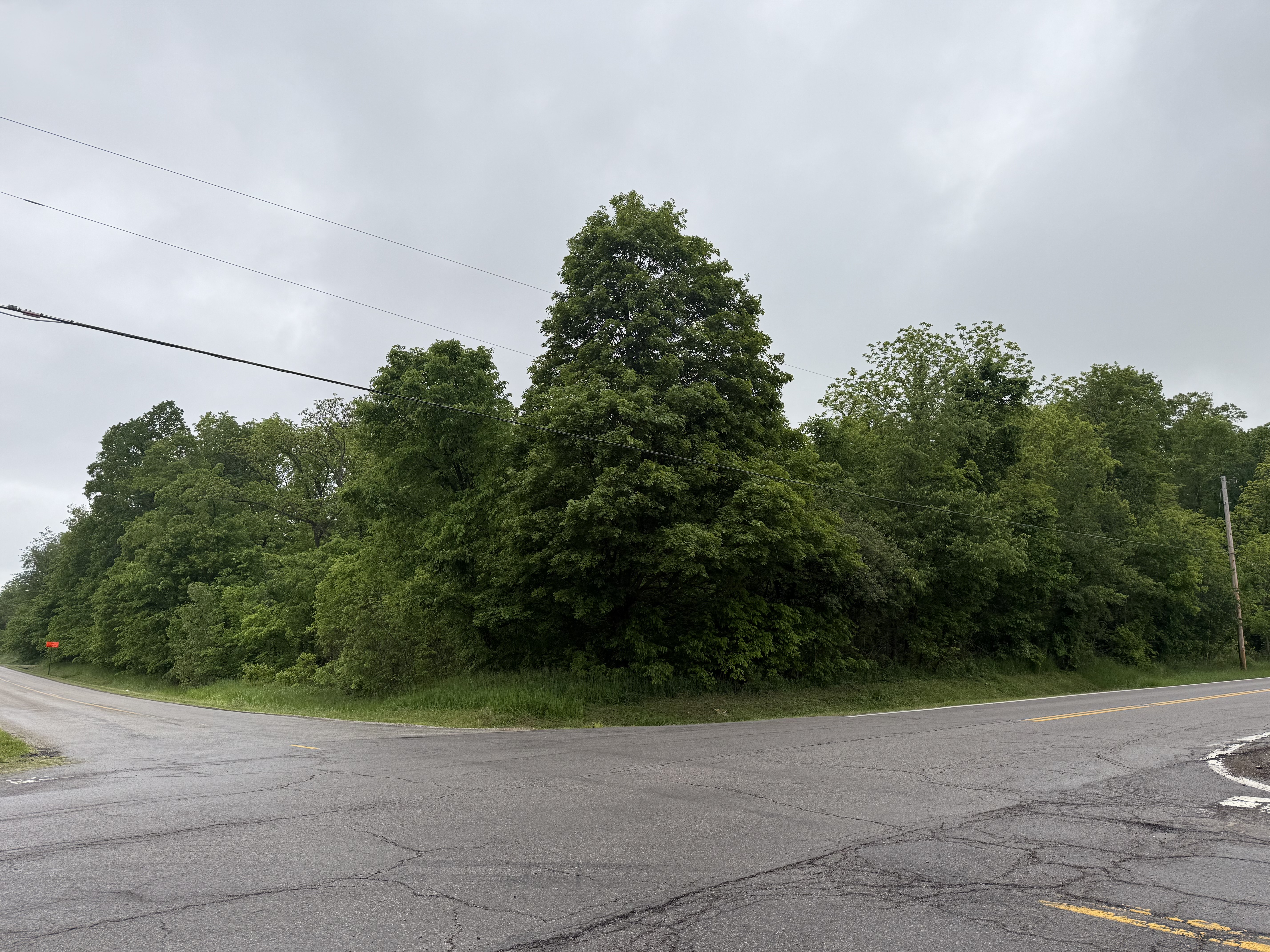 0 State Route 511 N, Ashland, Ohio 44805, ,Land,For Sale,State Route 511 N,9067146