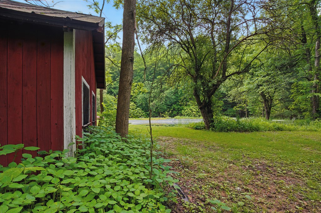 1913 Steele Road, Bellville, Ohio 44813, 4 Bedrooms Bedrooms, ,2 BathroomsBathrooms,Residential,For Sale,Steele Road,9067162