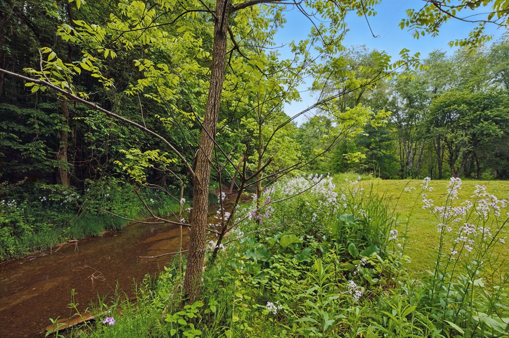 1913 Steele Road, Bellville, Ohio 44813, 4 Bedrooms Bedrooms, ,2 BathroomsBathrooms,Residential,For Sale,Steele Road,9067162