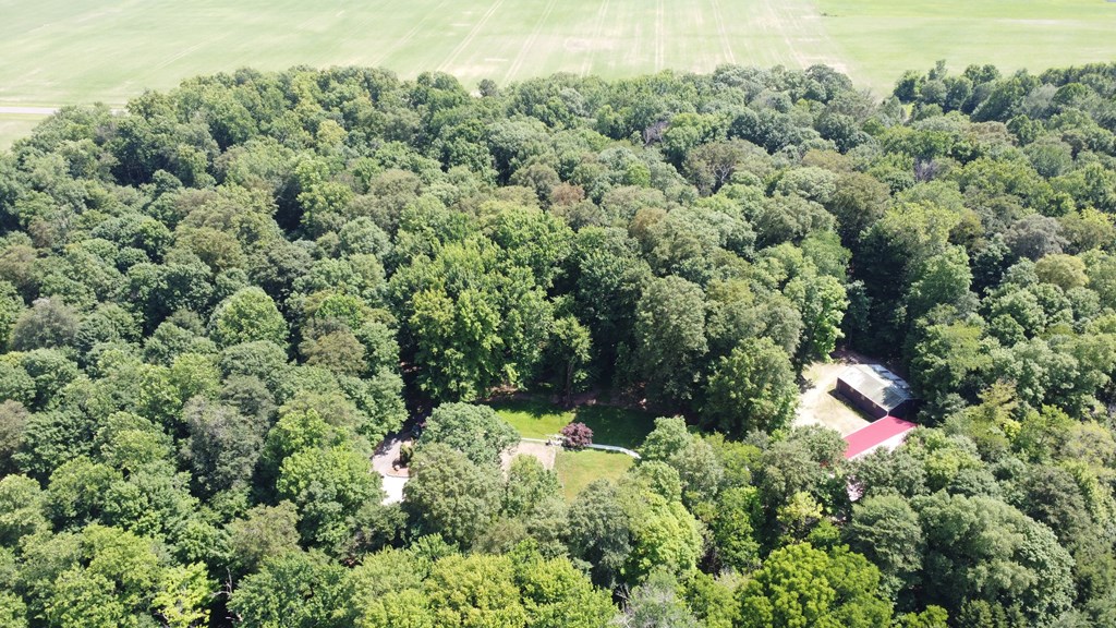 1374 Nevada Wynford Road, Bucyrus, Ohio 44820, 3 Bedrooms Bedrooms, ,2 BathroomsBathrooms,Residential,For Sale,Nevada Wynford Road,9067439