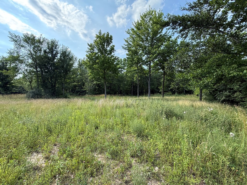 1490 Township Road 206, Marengo, Ohio 43334, ,Land,For Sale,Township Road 206,9067515
