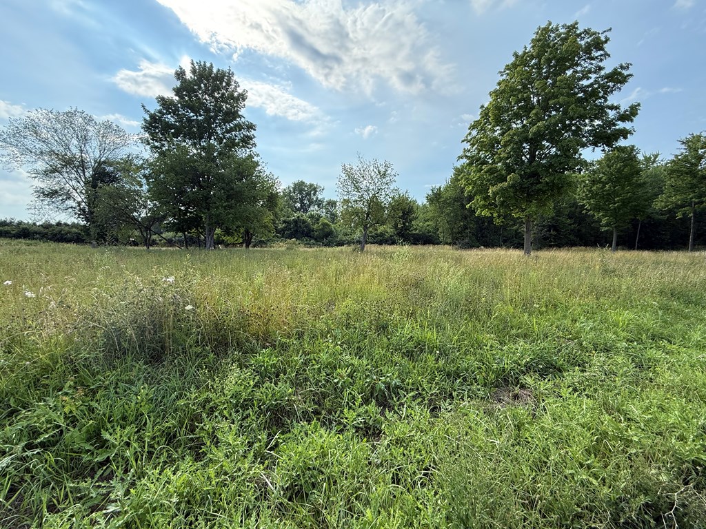 1490 Township Road 206, Marengo, Ohio 43334, ,Land,For Sale,Township Road 206,9067515