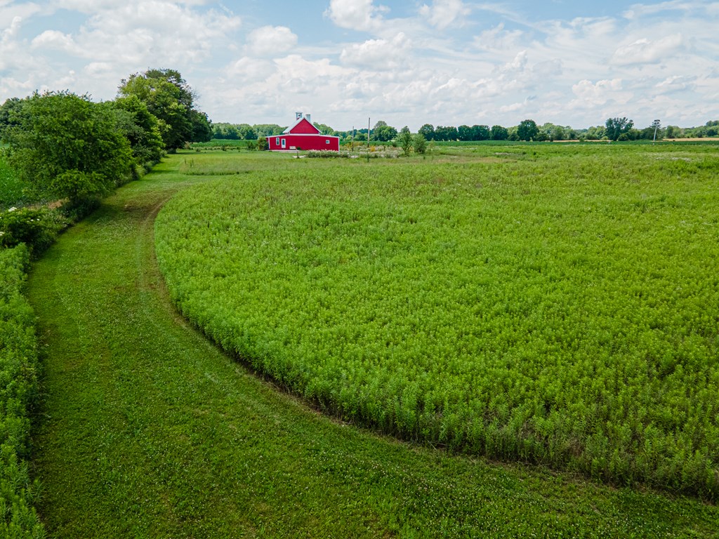 2800 Weaver Road, Mount Vernon, Ohio 43050, ,Land,For Sale,Weaver Road,9067522
