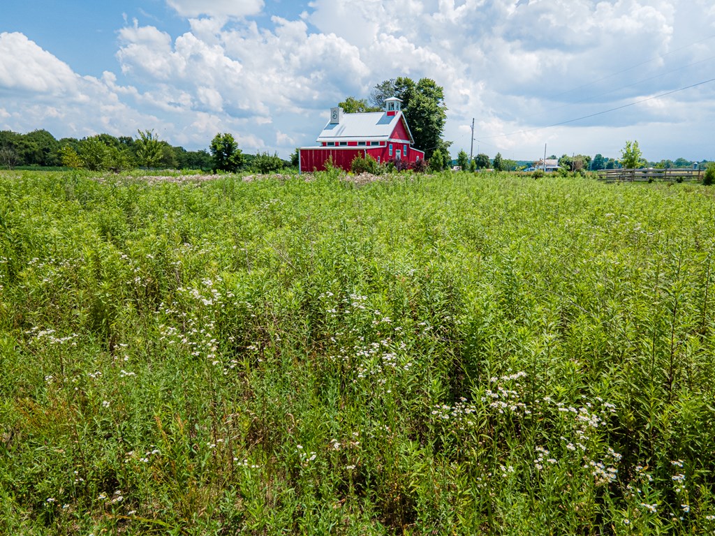 2800 Weaver Road, Mount Vernon, Ohio 43050, ,Land,For Sale,Weaver Road,9067522
