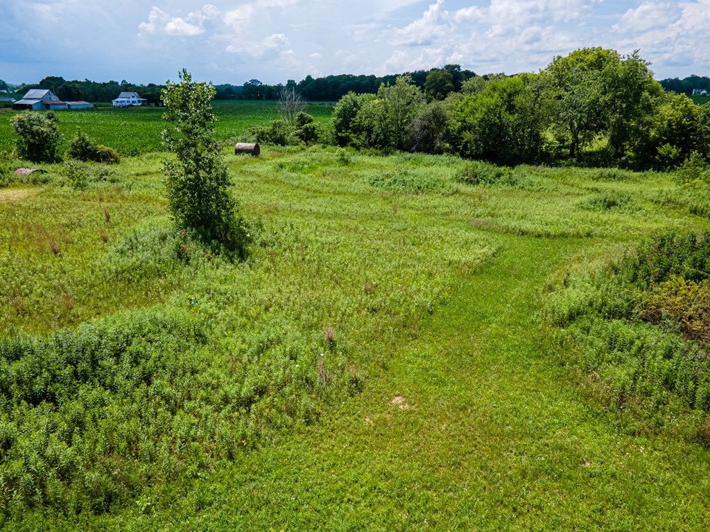 2800 Weaver Road, Mount Vernon, Ohio 43050, ,Land,For Sale,Weaver Road,9067522