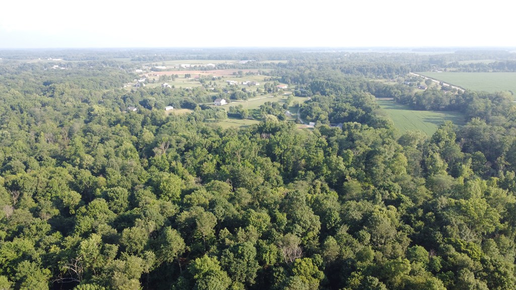0 Township Road 34, Galion, Ohio 44833, ,Land,For Sale,Township Road 34,9067633