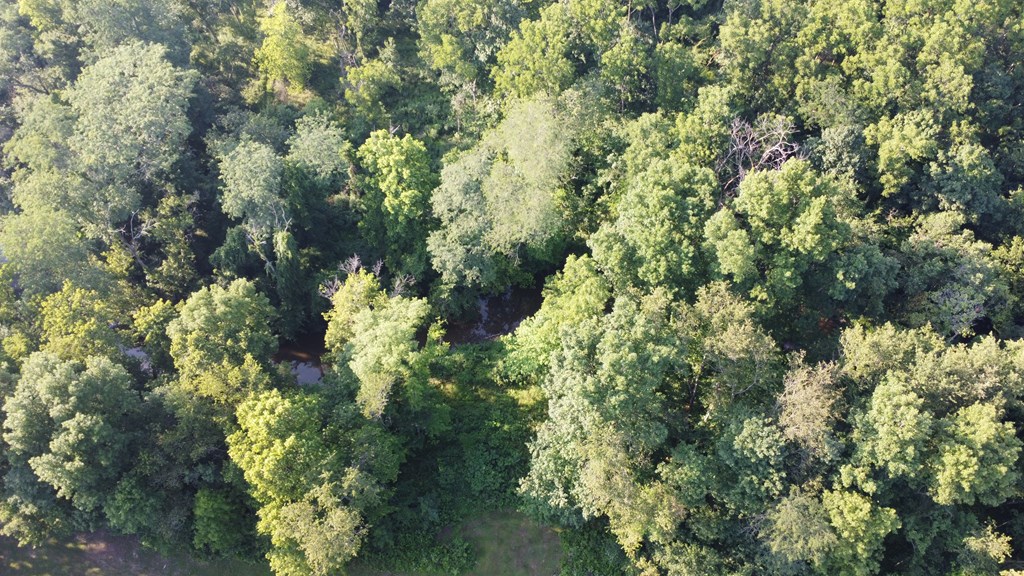 0 Township Road 34, Galion, Ohio 44833, ,Land,For Sale,Township Road 34,9067633