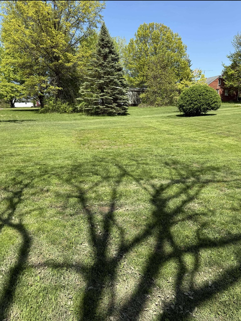 1085 Lewis Road, Mansfield, Ohio 44903, 4 Bedrooms Bedrooms, ,2 BathroomsBathrooms,Residential,For Sale,Lewis Road,9067658