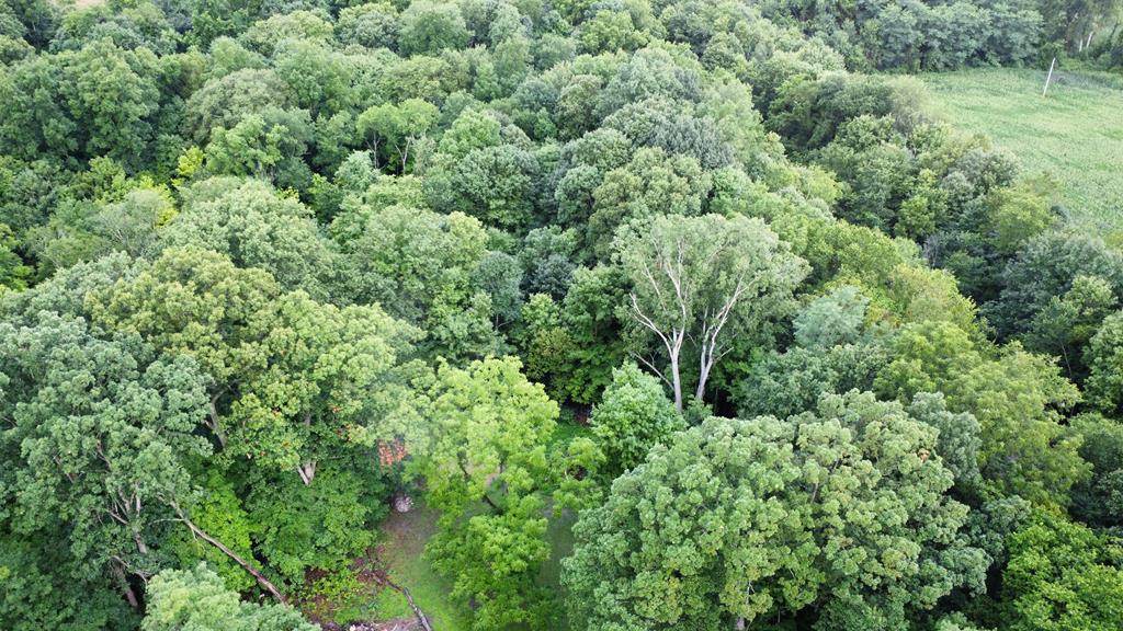 2255 Pavonia Road, Mansfield, Ohio 44903, 5 Bedrooms Bedrooms, ,3 BathroomsBathrooms,Residential,For Sale,Pavonia Road,9067780