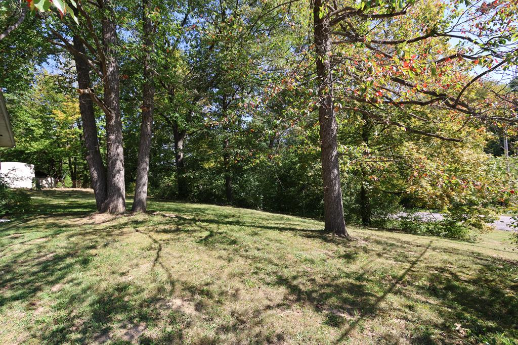 1145 Gloria Street, Mansfield, Ohio 44905, 3 Bedrooms Bedrooms, ,2 BathroomsBathrooms,Residential,For Sale,Gloria Street,9069276