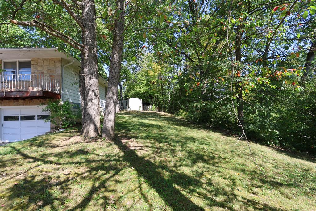 1145 Gloria Street, Mansfield, Ohio 44905, 3 Bedrooms Bedrooms, ,2 BathroomsBathrooms,Residential,For Sale,Gloria Street,9069276