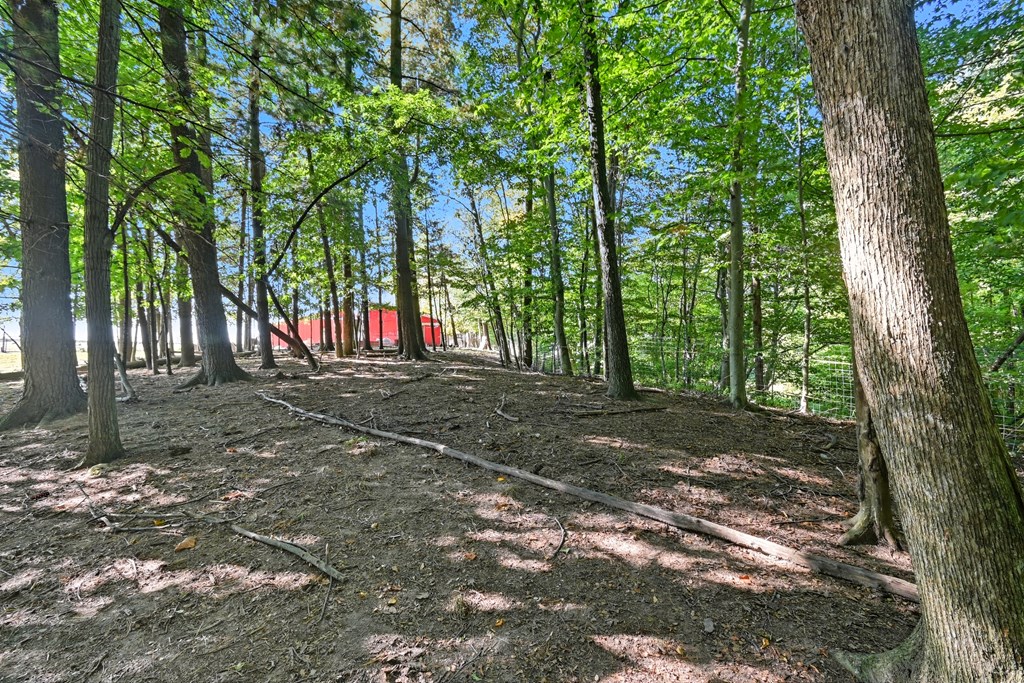 0 Peru Olena Road, Norwalk, Ohio 44857, ,Land,For Sale,Peru Olena Road,9069296