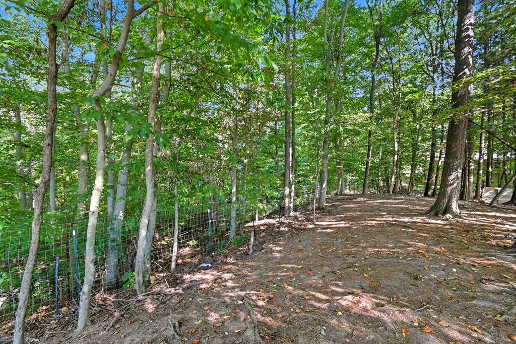 0 Peru Olena Road, Norwalk, Ohio 44857, ,Land,For Sale,Peru Olena Road,9069296
