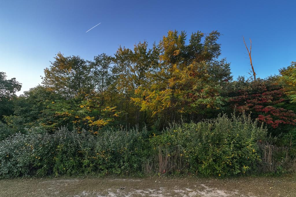 0 Big Bass Road, Willard, Ohio 44890, ,Land,For Sale,Big Bass Road,9069309