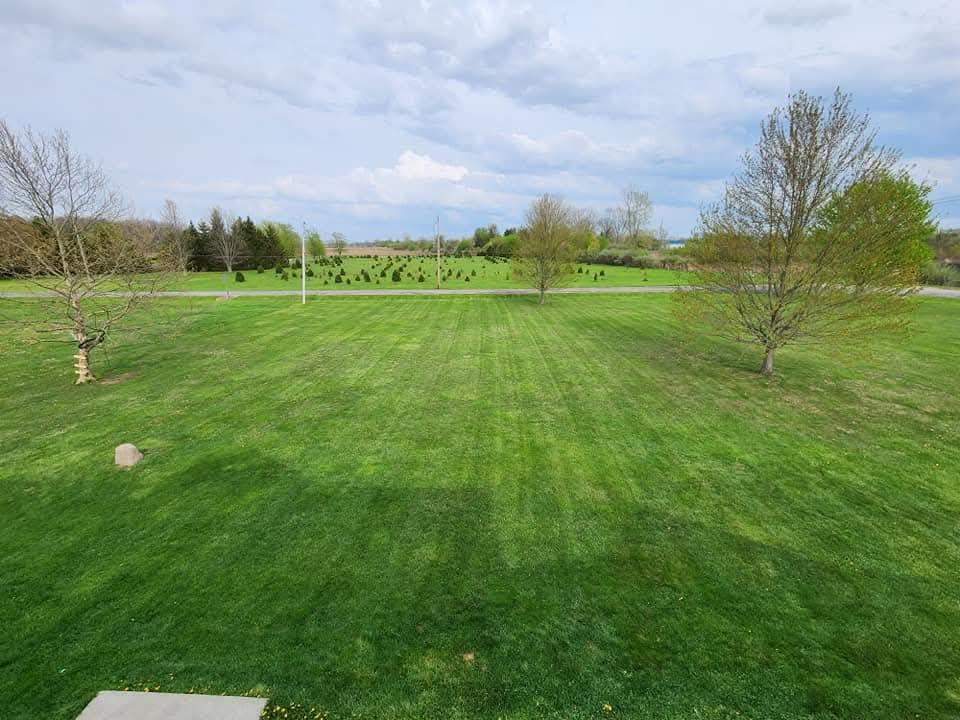 1260 Thrush Road, Crestline, Ohio 44827, 5 Bedrooms Bedrooms, ,2 BathroomsBathrooms,Residential,For Sale,Thrush Road,9069453