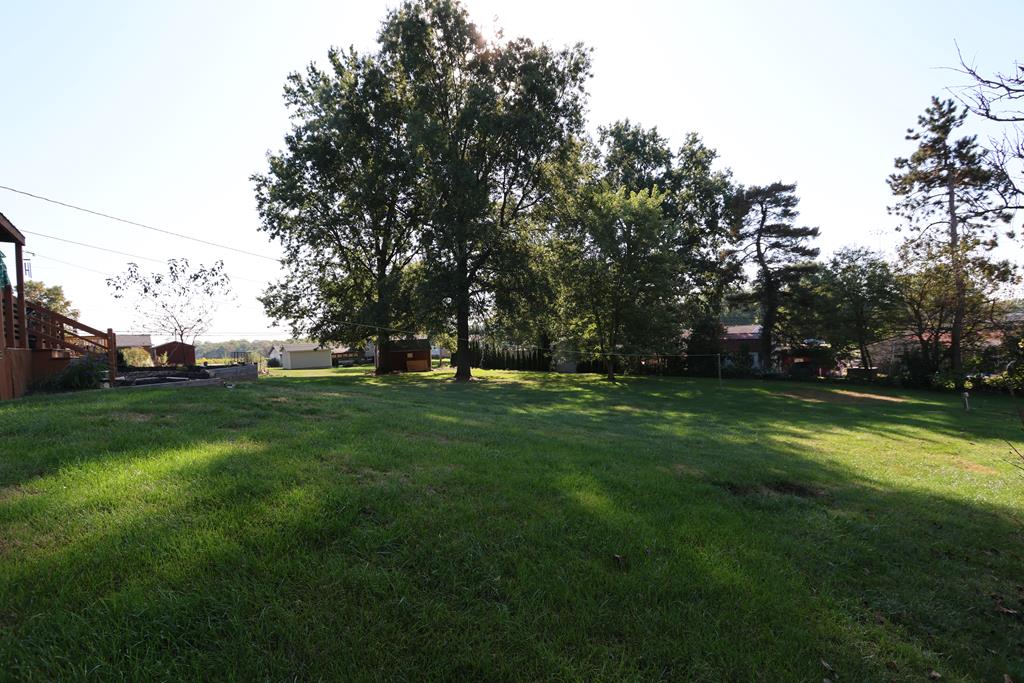 561 Morrison Avenue, Lexington, Ohio 44904, 3 Bedrooms Bedrooms, ,1 BathroomBathrooms,Residential,For Sale,Morrison Avenue,9069456