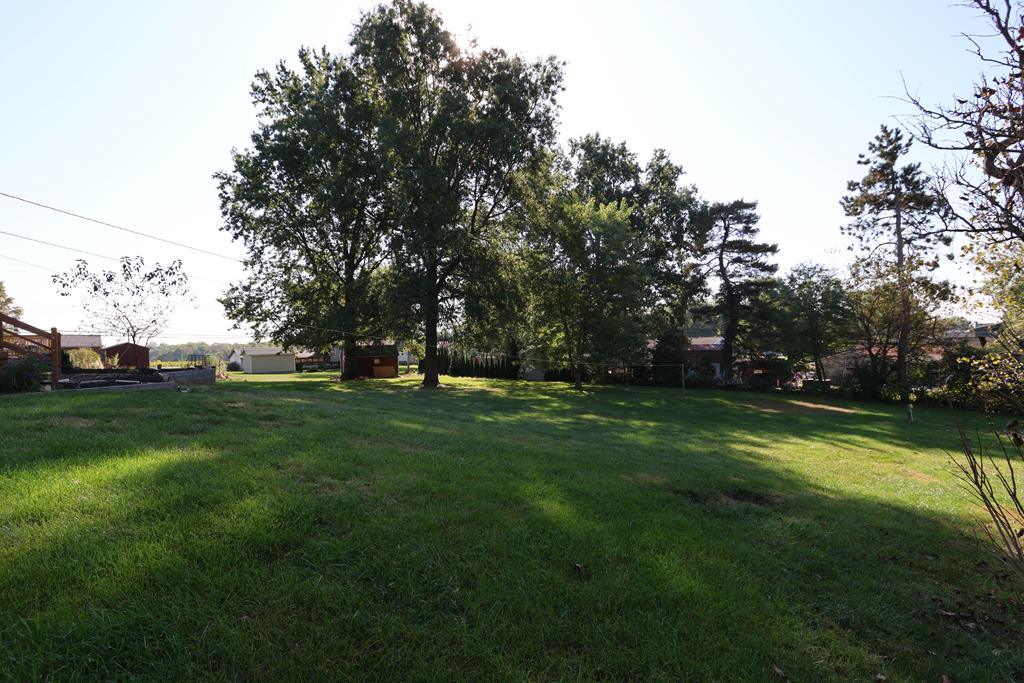 561 Morrison Avenue, Lexington, Ohio 44904, 3 Bedrooms Bedrooms, ,1 BathroomBathrooms,Residential,For Sale,Morrison Avenue,9069456