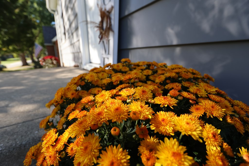 484 Beechwood Drive, Mansfield, Ohio 44907, 2 Bedrooms Bedrooms, ,1 BathroomBathrooms,Residential,For Sale,Beechwood Drive,9069600 484 Beechwood Drive, Mansfield, Ohio 44907, 2 Bedrooms Bedrooms, ,1 BathroomBathrooms,Residential,For Sale,Beechwood Drive,9069600